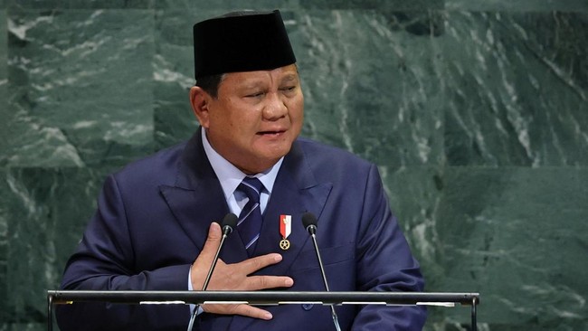 Prabowo Sebut Palestina Berpeluang Dapat Dukungan Usai Sidang PBB